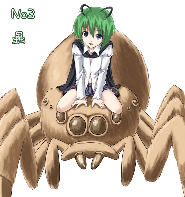 1girl, antennae, bug, epic_spider_mustache, female_focus, solo, spider, touhou