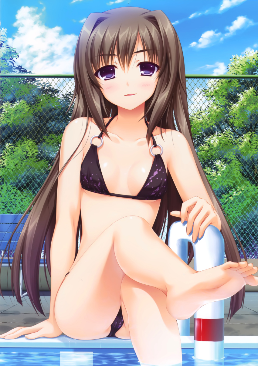 1girl, 5pb., absurdres, alpha_(yukai_na_nakamatachi), arm_support, barefoot, bench, bikini, blush, breasts, brown_hair, chain-link_fence, cleavage, cloud, crossed_legs, day, feet, female_focus, fence, foot_focus, hair_intakes, halterneck, highres, higuchi_ririko, long_hair, looking_at_viewer, o-ring, o-ring_top, outdoors, parted_lips, pool, pool_ladder, poolside, purple_eyes, scan, sharin_no_kuni, sharin_no_kuni_himawari_no_shoujo, sitting, sky, small_breasts, soles, solo, swimsuit, toes, tree, water