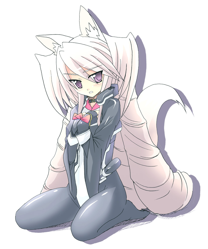 1girl, animal_ears, black_legwear, bodysuit, collar, drill_hair, female_focus, fingerless_gloves