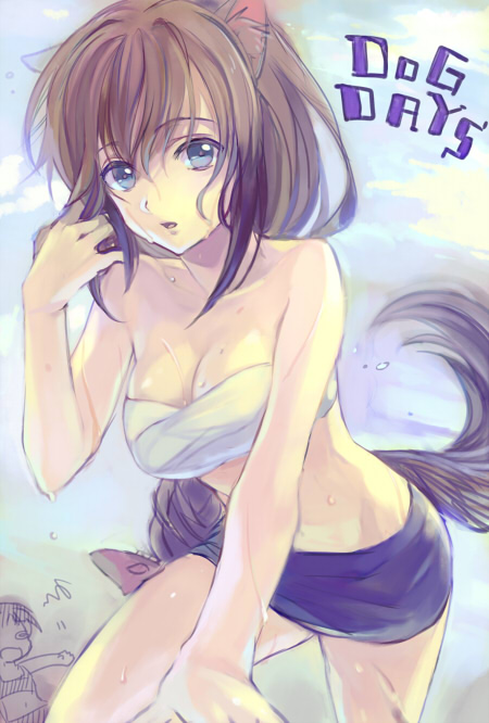 10s, 1girl, ame_yamori, animal_ears, bandages, blue_eyes, braid, breasts, brioche_d'arquien, brown_hair, cleavage, copyright_name, dog_days, female_focus, large_breasts, long_hair, single_braid, solo, tail, wet