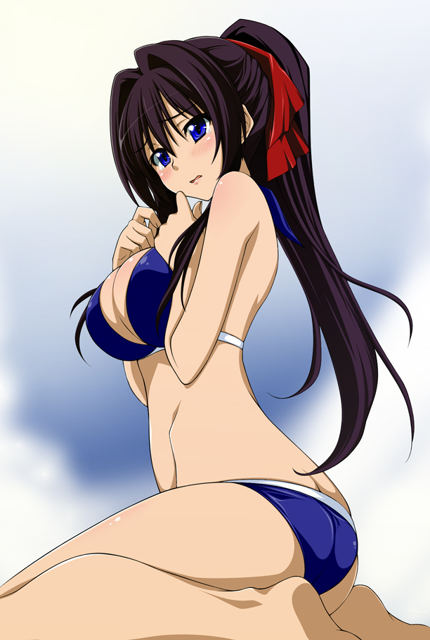 1girl, bad_id, bad_pixiv_id, bikini, black_hair, blue_bikini, blue_eyes, breasts, butt_crack, cleavage, female_focus, large_breasts, oda_nobuna_no_yabou, ponytail, shibata_katsuie_(oda_nobuna_no_yabou), sitting, solo, swimsuit, waochi., wariza