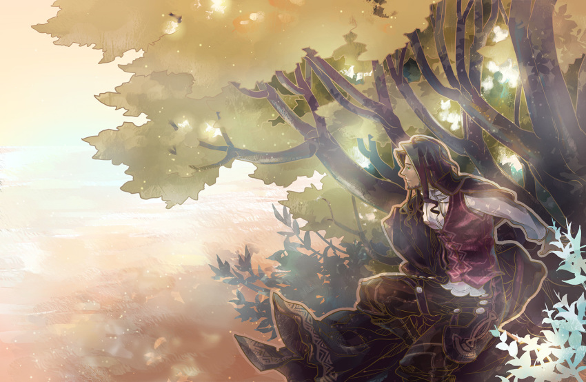 1boy, brown_hair, cape, dunban_(xenoblade), facial_hair, katakeo, long_hair, male_focus