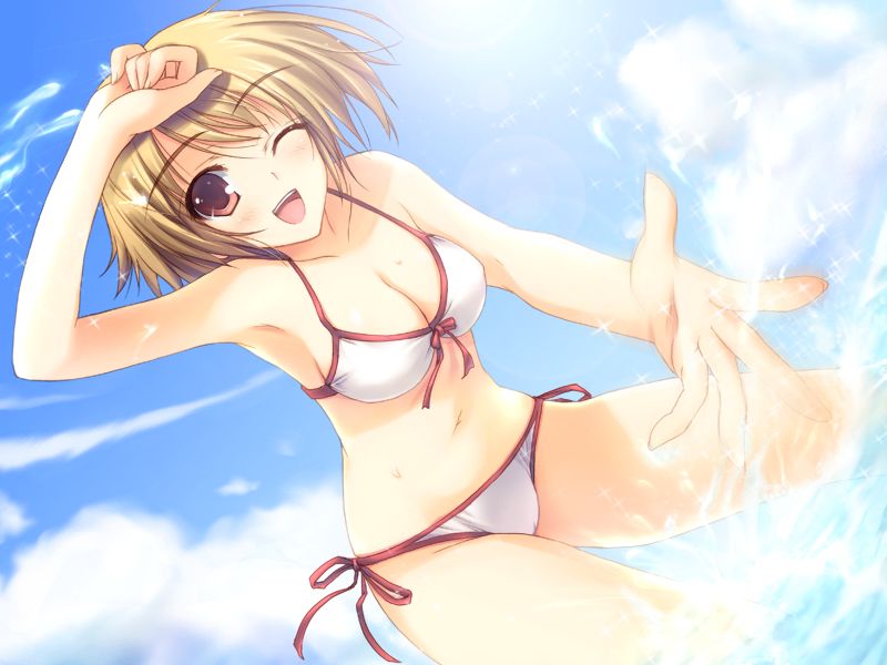 1girl, alice_soft, bikini, breasts, brown_eyes, brown_hair, cleavage, cloud