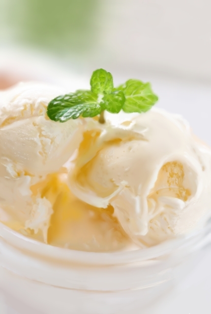 food, food_focus, ice_cream, kya4, leaf, no_humans, original, photorealistic
