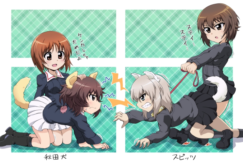 10s, 4girls, akiyama_yukari, all_fours, anglerfish, animal_ears, black_footwear, black_skirt, blue_eyes, blue_jacket, blush, boots, brown_eyes, brown_hair, collar, dog_ears, dog_tail, dress_shirt, emblem, fang, fish, fume, girls_und_panzer, green_shirt, grey_hair, grey_shirt, grey_socks, itsumi_erika, jacket, kemonomimi_mode, kneeling, leash, loafers, long_sleeves, maru_takeo, messy_hair, military, military_uniform, miniskirt, multiple_girls, nishizumi_maho, nishizumi_miho, open_mouth, pleated_skirt, school_uniform, shirt, shoes, short_hair, skirt, smile, socks, standing, sweatdrop, tail, text_focus, translated, white_skirt