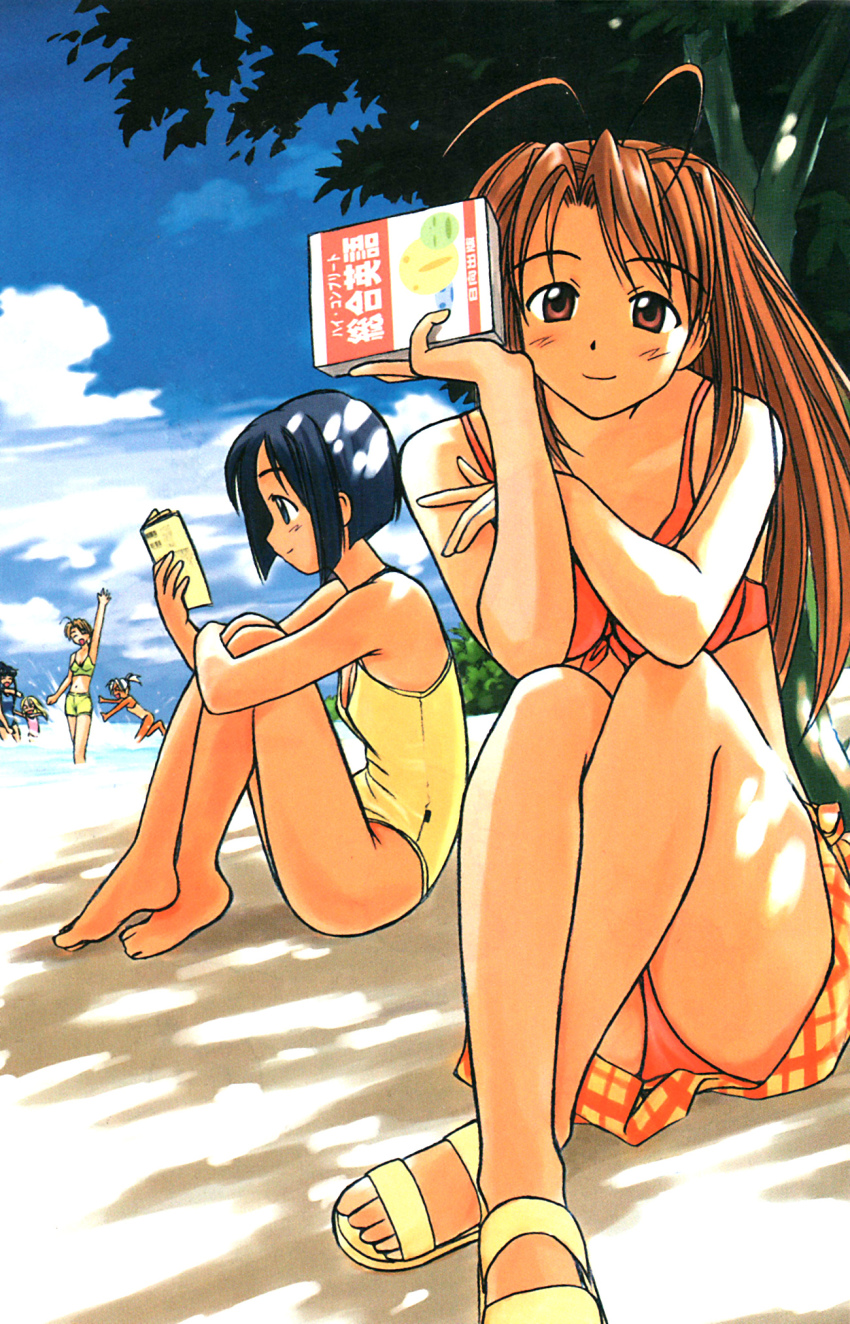 6+girls, ahoge, akamatsu_ken, antenna_hair, aoyama_motoko, artbook, barefoot, beach