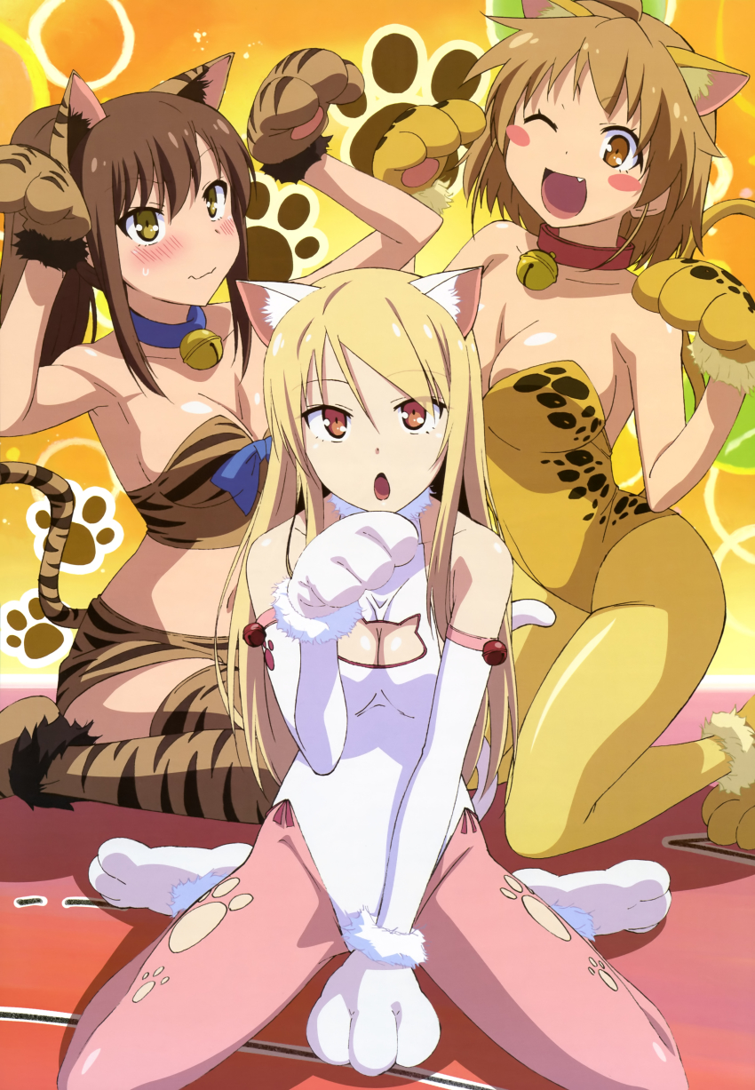 10s, 3girls, :o, ;d, absurdres, animal_ears, animal_hands, animal_print, aoyama_nanami, armpits, arms_up, bare_shoulders, bell, blonde_hair, blush, blush_stickers, breasts, brown_eyes, brown_hair, cat, cat_cutout, cat_ears, cat_girl, cat_lingerie, cat_paws, cat_tail, cleavage, cleavage_cutout, clothing_cutout, collar, collar_bell, dress, fake_animal_ears, fake_tail, fang, fujii_masahiro, halterneck, highres, huge_breasts, jingle_bell, kamiigusa_misaki, kittysuit, large_breasts, leggings, leopard_print, leotard, long_hair, medium_breasts, midriff, multiple_girls, navel, neck_bell, nontraditional_playboy_bunny, nyantype, official_art, one_eye_closed, open_mouth, pantyhose, paw_pose, pink_pantyhose, ponytail, red_eyes, sakura-sou_no_pet_na_kanojo, scan, shiina_mashiro, shiny_skin, short_hair, sitting, skin_tight, smile, tail, thighhighs, tiger_ears, tiger_girl, tiger_print, tiger_tail, tight_clothes, tight_dress, wariza, wavy_mouth, wink, yellow_eyes, yellow_pantyhose