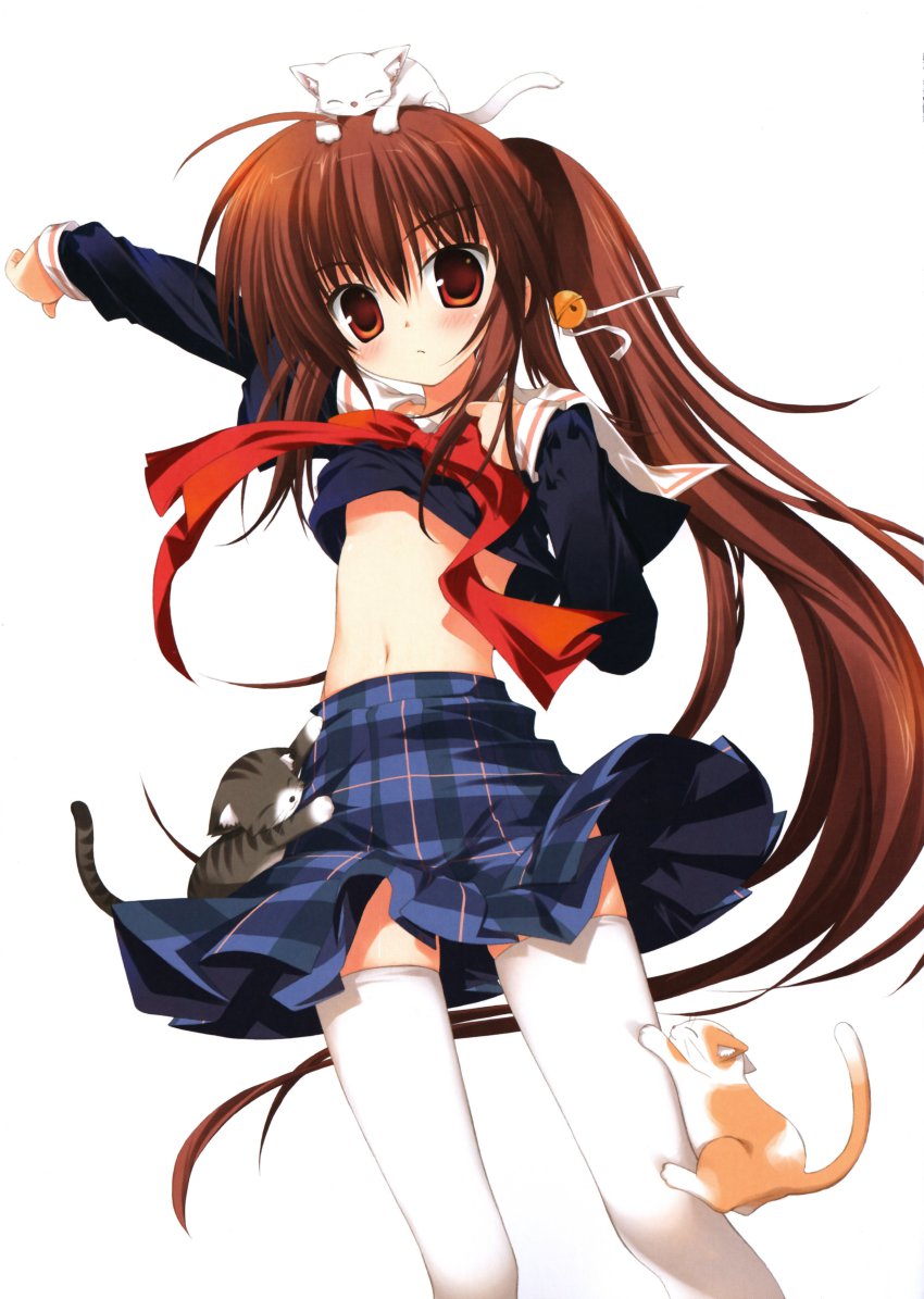 1girl, abscess, absurdres, ahoge, bell, blush, brown_hair, cat, dressing, female_focus, fujima_takuya, hair_bell, hair_ornament, highres, little_busters!, long_hair, midriff, natsume_rin, navel, no_bra, pleated_skirt, ponytail, school_uniform, simple_background, skirt, solo, thighhighs, very_long_hair, white_background, white_thighhighs