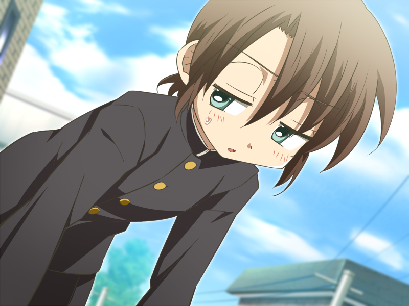 1boy, ayase_shinobu, blue_eyes, blush, brown_hair, child, game_cg, kiriya_gymno