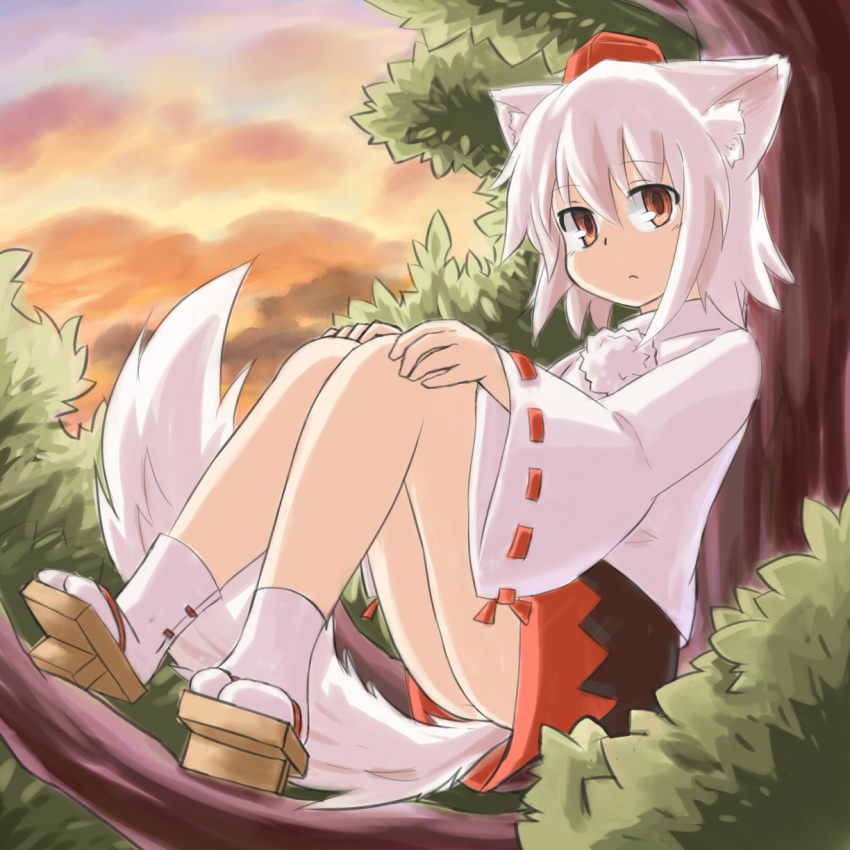 1girl, animal_ear_fluff, animal_ears, blouse, blush, female_focus, frown, full_body, geta, hat, highres, in_tree, inubashiri_momiji, kibisake, long_sleeves, looking_at_viewer, nature, outdoors, pom_pom_(clothes), red_eyes, s_katsuo, shirt, short_hair, sitting, skirt, solo, tail, tengu-geta, tokin_hat, touhou, tree, white_hair, white_shirt, wolf_ears, wolf_tail