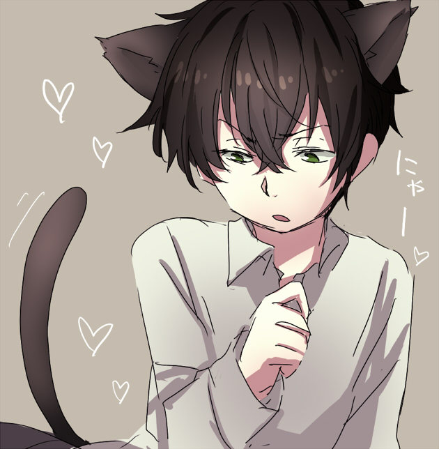 10s, 1boy, animal_ears, anyaaki, black_hair, cat_ears, cat_tail, green_eyes
