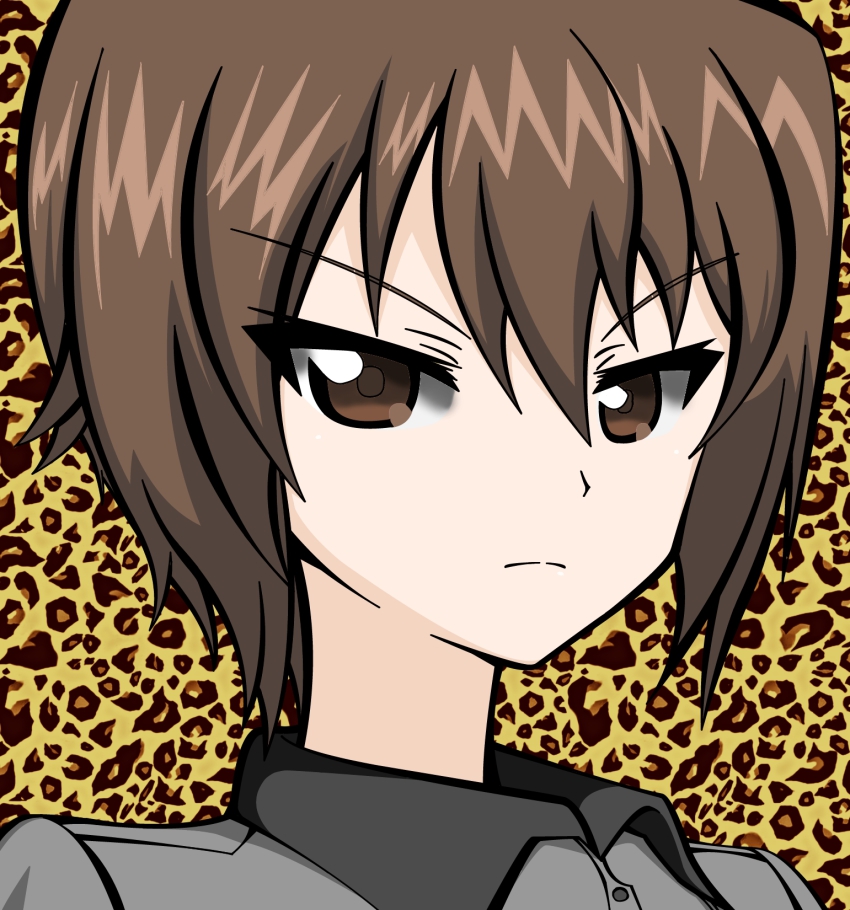 10s, 1girl, brown_eyes, brown_hair, female_focus, girls_und_panzer, guderian, highres