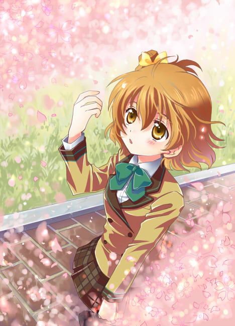 00s, back, blazer, blush, brown_hair, cherry_blossoms, fresh_precure!, grass