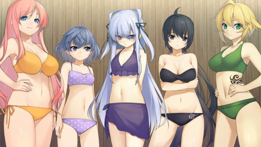 5girls, bachou_mouki_(sangoku_hime_3), bikini, black_eyes, black_hair, blonde_hair, blue_eyes, breasts, chouhi_yokutoku_(sangoku_hime), chouun_shiryuu_(sangoku_hime_3), cleavage, collarbone, game_cg, gluteal_fold, goban, green_eyes, kaguyuzu, kanu_unchou_(sangoku_hime_3), koso, kouchuu_kanshou_(sangoku_hime_3), large_breasts, long_hair, multiple_girls, navel, pink_hair, purple_eyes, purple_hair, sangoku_hime_3, sangoku_hime_3_-tenka_shinsei-, short_hair, side-tie_bikini_bottom, silver_hair, small_breasts, swimsuit, very_long_hair, wooden_wall