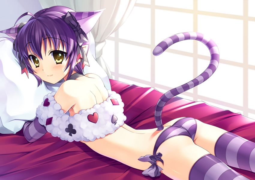 1girl, ahoge, alice's_adventures_in_wonderland, animal_ears, ass, bed, blush, bucchake_(asami), cat_ears, cat_tail, cheshire_cat_(alice_in_wonderland), cheshire_cat_(cosplay), cosplay, elbow_gloves, gloves, lying, magical_halloween, noir_auslese, on_stomach, panties, pillow, pointy_ears, purple_hair, purple_panties, purple_thighhighs, short_hair, side-tie_panties, striped_clothes, striped_panties, tail, thighhighs, underwear, window, yellow_eyes