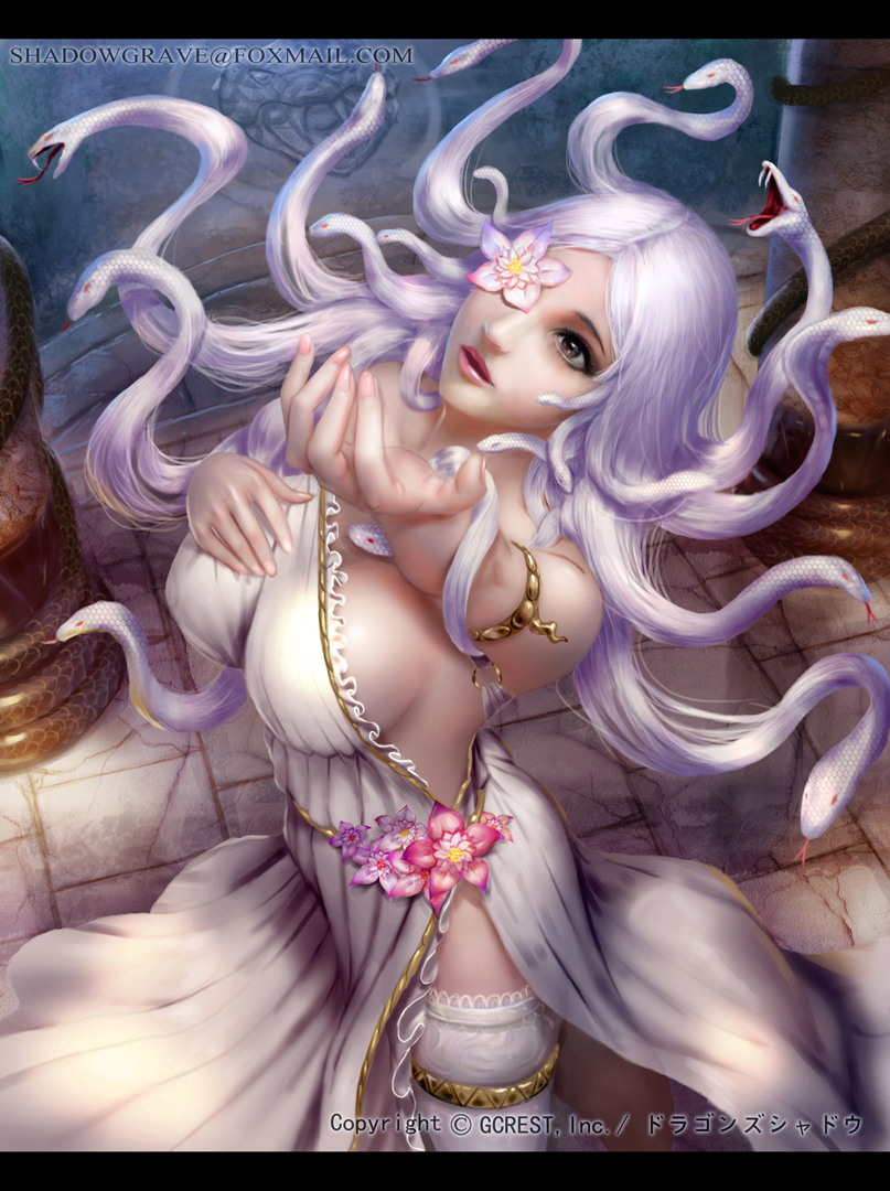 1girl, breasts, brown_eyes, dragon's_shadow, dress, eyepatch, female_focus, flower