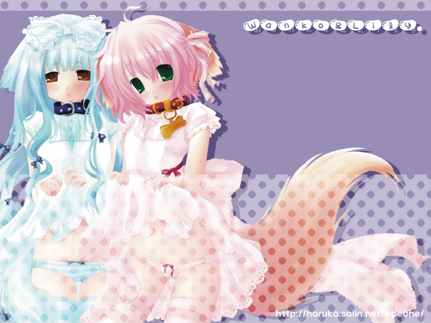 2girls, ahoge, animal_ears, blue_bow, blue_dress, blue_hair, blue_panties, blush, bow, bow_panties, brown_eyes, buttons, character_name, clothes_lift, collar, dog_ears, dog_girl, dog_tail, dress, dress_lift, flat_chest, green_eyes, hair_bow, highres, lifting_own_clothes, lily_(wanko), lily_(wanko_to_lily), long_hair, multiple_girls, nameplate, open_mouth, panties, pink_bow, pink_dress, pink_hair, pink_panties, pink_ribbon, ribbon, short_hair, short_sleeves, socks, striped_clothes, striped_panties, striped_socks, striped_thighhighs, tail, thighhighs, underwear, wanko_(wanko_to_lily), wanko_to_lily