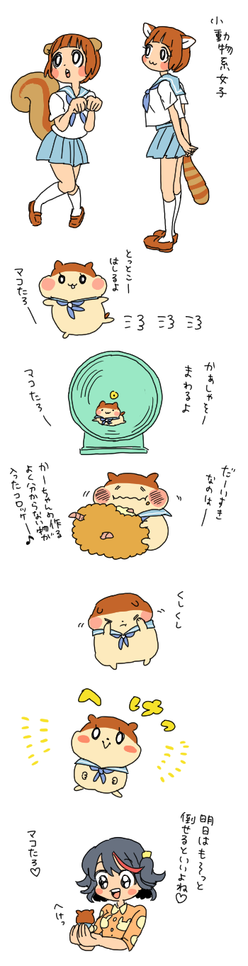 10s, :3, animal_ears, animalization, eating, hamster, hamster_wheel, highres, kemonomimi_mode, kill_la_kill, kong_(yuico), mankanshoku_mako, matoi_ryuuko, paw_pose, raccoon_tail, school_uniform, serafuku, squirrel_tail, tail, translation_request