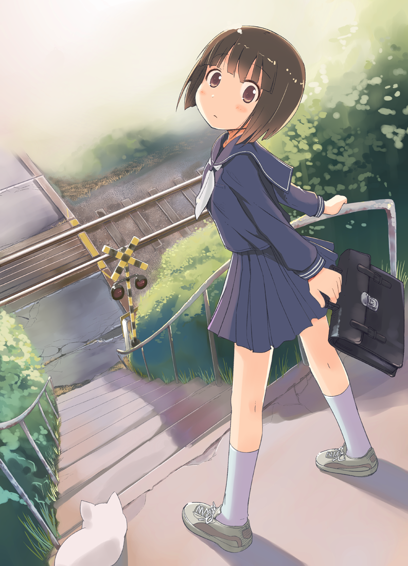 1girl, bag, briefcase, brown_eyes, brown_hair, cat, female_focus, from_above