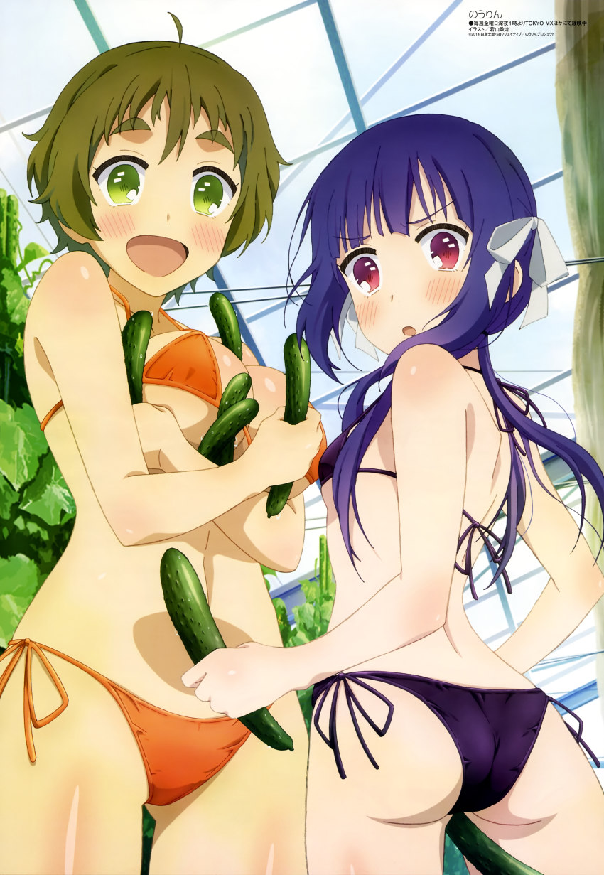 10s, 2girls, :d, :o, absurdres, ass, bikini, blush, brown_hair, cucumber, eyebrows, food, green_eyes, highres, kinoshita_ringo_(no-rin), long_hair, looking_back, megami_magazine, multiple_girls, nakazawa_minori, no-rin, non-web_source, official_art, open_mouth, purple_hair, red_eyes, short_hair, side-tie_bikini_bottom, smile, string_bikini, swimsuit, wakayama_masashi