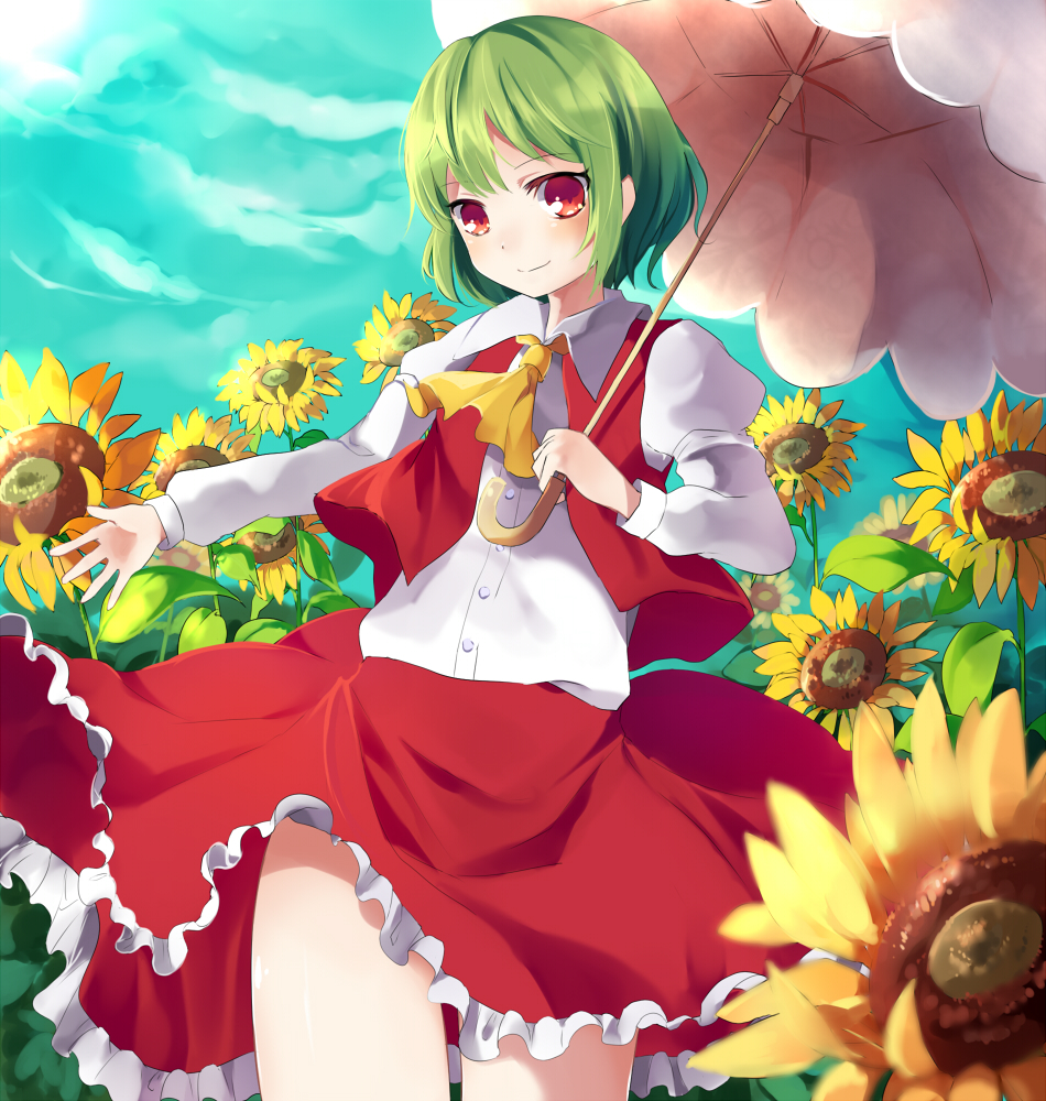 1girl, female_focus, flower, green_hair, hachimitsu_ame_(phoenix), kazami_yuuka, parasol, red_eyes