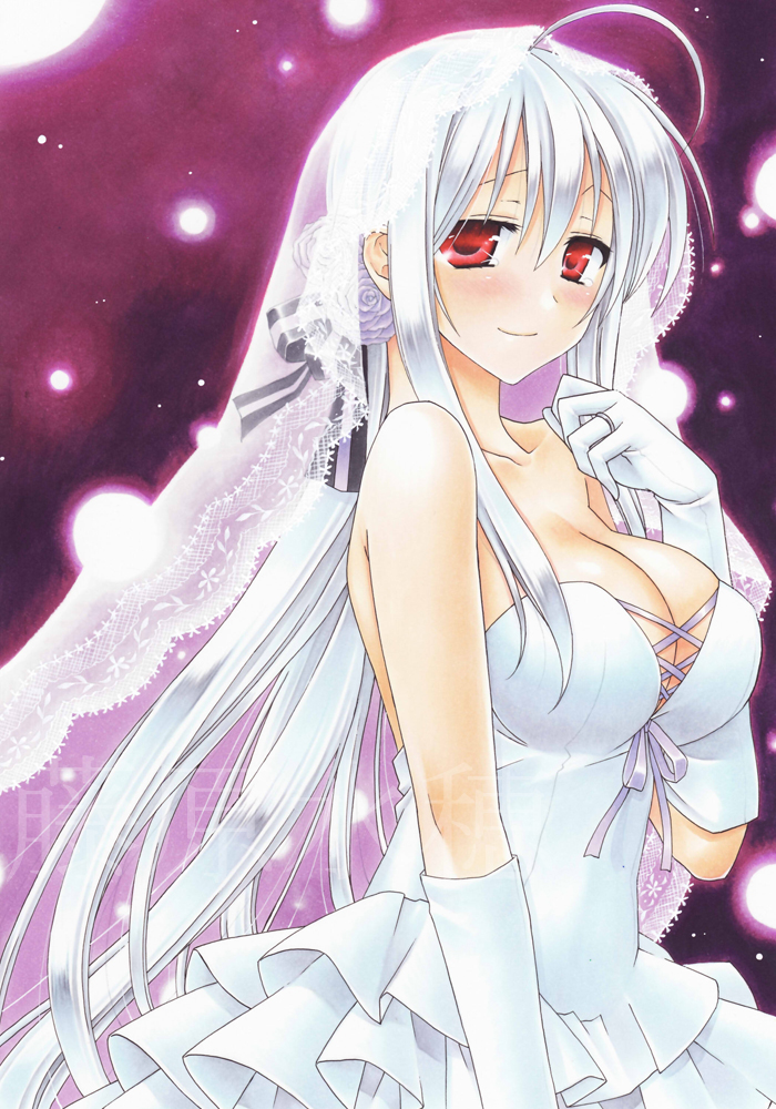 1girl, ahoge, bad_id, bad_pixiv_id, breasts, bridal_veil, cleavage, dress