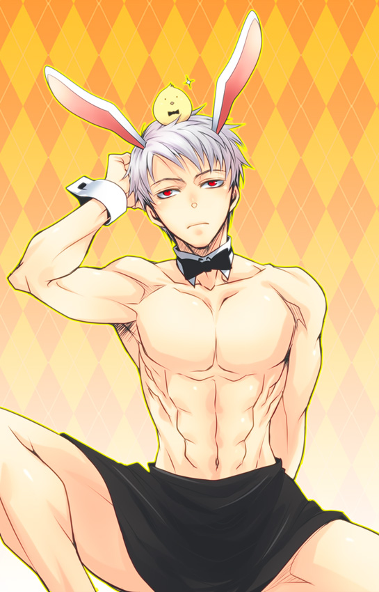 1boy, abs, animal, animal_ears, animal_on_head, apron, axis_powers_hetalia, bird
