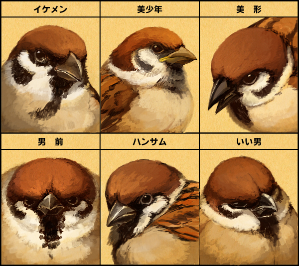 animal_focus, bird, chart, eurasian_tree_sparrow, expression_chart, multiple_expressions, hscatter, no_humans