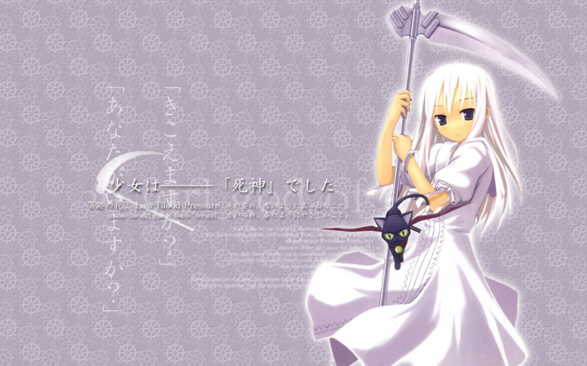 00s, black_cat, cat, daniel, daniel_(shinigami_no_ballad), highres, momo_(shinigami_no_ballad), nanakusa