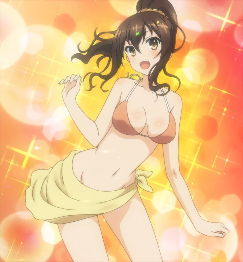 bikini, breasts, brown_eyes, brown_hair, cleavage, highres, kasagi_shizuka, ponytail