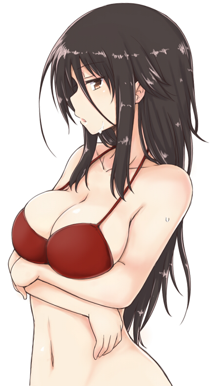 1girl, bare_shoulders, bikini, black_hair, blush, breasts, brown_eyes, crossed_arms, female_focus, large_breasts, lock_heart_(juuryokudou), long_hair, looking_at_viewer, navel, red_bikini, sendai_hakurei_no_miko, simple_background, solo, swimsuit, touhou, white_background
