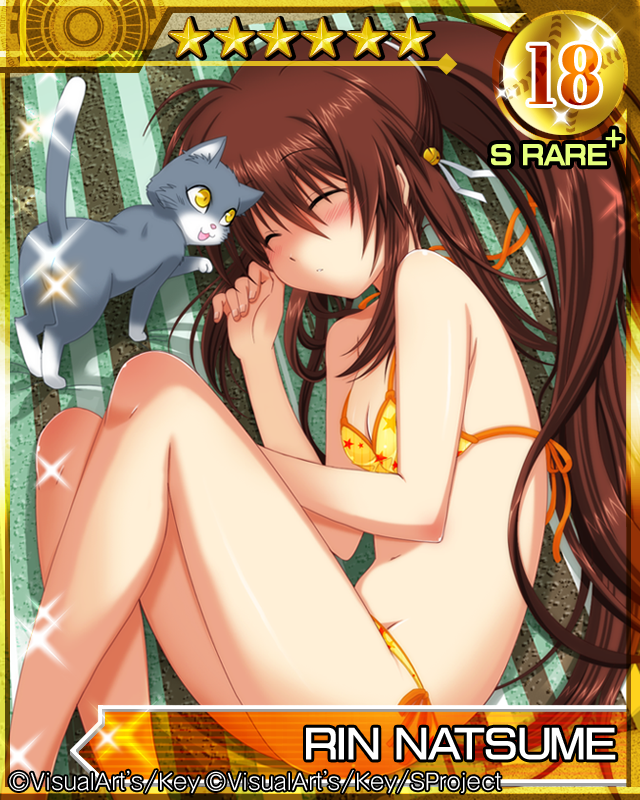 1girl, bikini, brown_hair, card_(medium), cat, character_name, closed_eyes, female_focus, ikeda_jun_(aquaqua), little_busters!, long_hair, lying, natsume_rin, on_side, ponytail, sleeping, solo, swimsuit