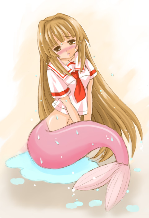 00s, 1girl, :o, blush, bottomless, brown_eyes, brown_hair, female_focus, fins, fish_tail, long_hair, looking_at_viewer, mermaid, mermaid_tail, mermaid_transformation, monster_girl, open_mouth, school_uniform, serafuku, seto_no_hanayome, seto_sun, solo, tail, transformation, utsubo_kazura, v_arms, very_long_hair, water, wet