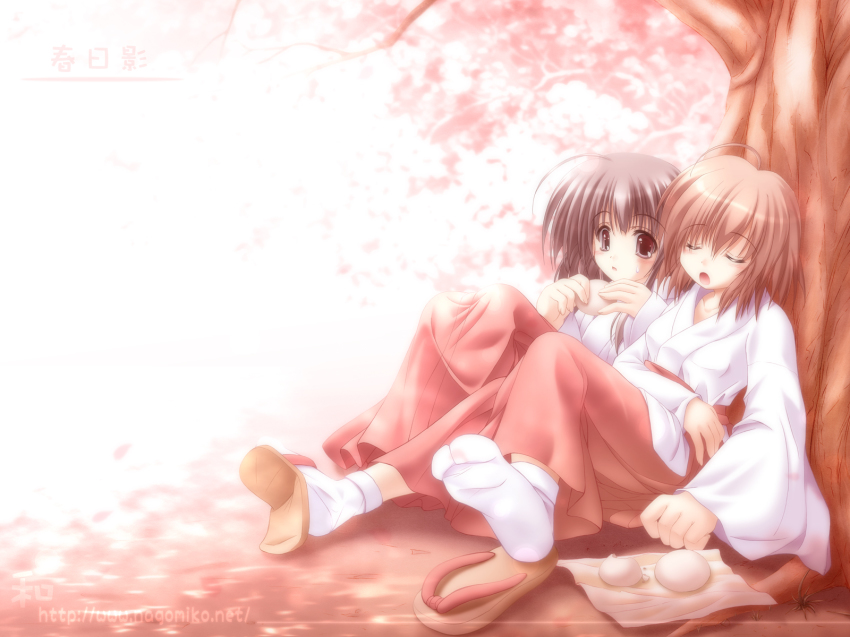 2girls, closed_eyes, hakama, hakama_skirt, highres, japanese_clothes, miko, multiple_girls