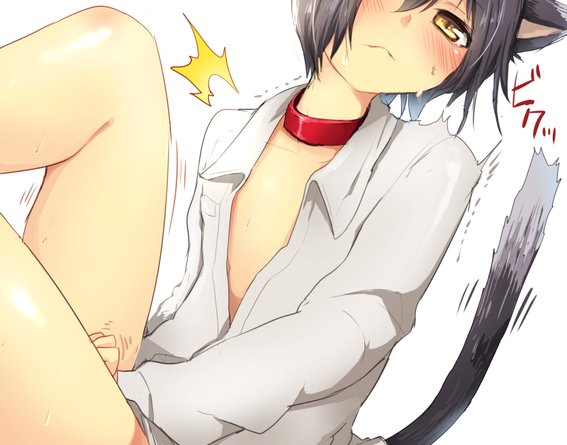 1boy, animal_ears, aobe_mahito, bad_id, bad_pixiv_id, black_hair, blush, bottomless