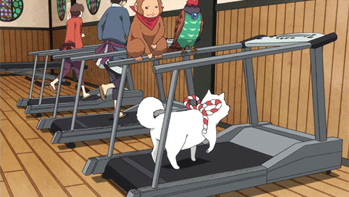 10s, animated, animated_gif, bird, dog, exercising, hoozuki_no_reitetsu, kakisuke_(hoozuki_no_reitetsu), lowres, monkey, rurio_(hoozuki_no_reitetsu), shiro_(hoozuki_no_reitetsu), treadmill