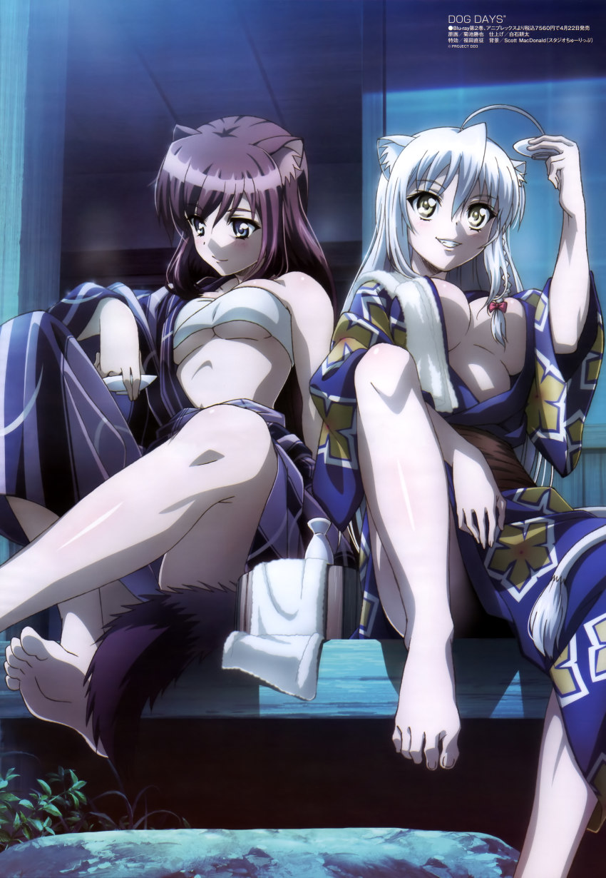 10s, 2girls, absurdres, ahoge, alcohol, animal_ears, barefoot, blue_eyes, braid, breasts, brioche_d'arquien, brown_hair, bucket, cleavage, cup, dog_days, feet, grin, highres, japanese_clothes, kikuchi_katsuya, kimono, large_breasts, legs, leonmitchelli_galette_des_rois, long_hair, megami_magazine, multiple_girls, night, off_shoulder, official_art, sakazuki, sake, scan, side_braid, sitting, smile, soles, strapless, tail, toes, tokkuri, towel, tube_top, underboob, veranda, white_hair, yellow_eyes, yukata