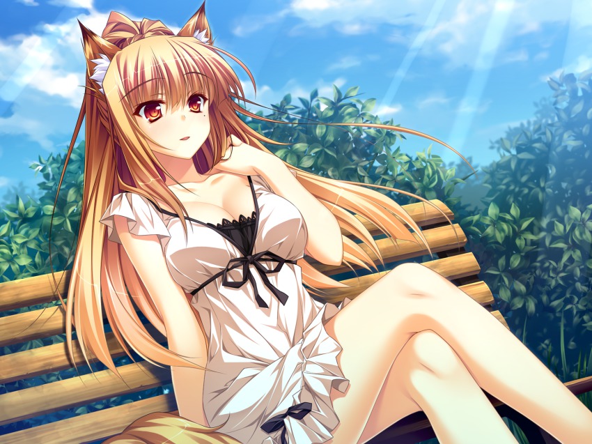 1girl, animal_ears, bench, breasts, brown_eyes, brown_hair, cleavage, cloud