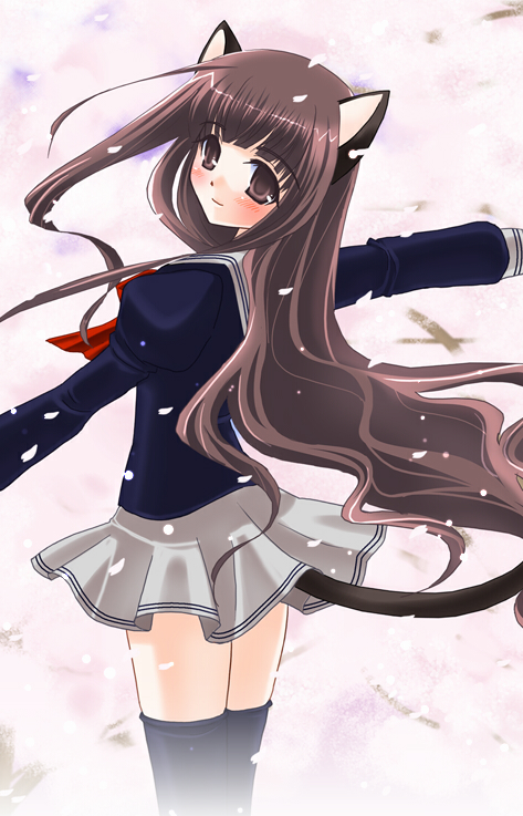 animal_ears, cat_ears, cat_tail, koshikawa_guu, school_uniform, serafuku, solo, tail, thighhighs, zettai_ryouiki