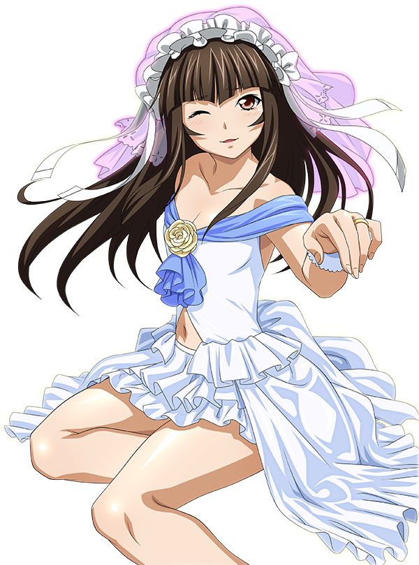 00s, 1girl, brown_hair, female_focus, ikkitousen, ikkitousen:_bakunyuu_souhaden, legs, long_hair