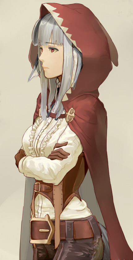 1girl, animal_ears, black_hair, female_focus, fire_emblem, fire_emblem_fates, gloves, grey_hair