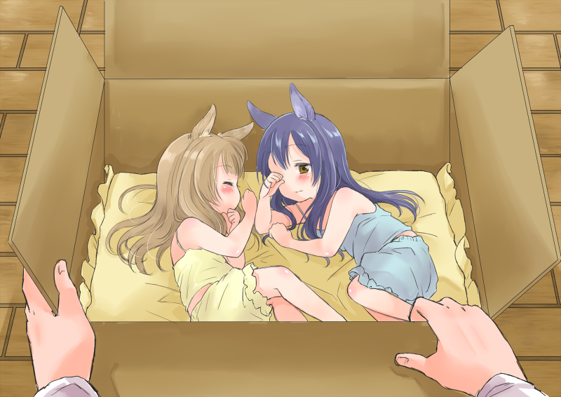 10s, 2girls, animal_ears, blue_hair, box, brown_eyes, brown_hair, camisole, cat_ears, closed_eyes, in_box, in_container, kemonomimi_mode, long_hair, love_live!, love_live!_school_idol_project, minami_kotori, mini_person, minigirl, multiple_girls, pillow, rubbing_eyes, satsuma_age, sleeping, sonoda_umi