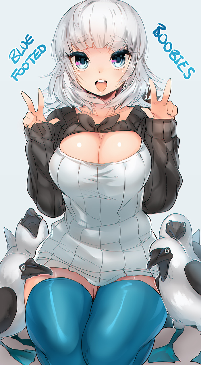 1girl, :d, aqua_thighhighs, bird, blue-footed_booby, blue_eyes, blue_thighhighs, blush, breasts, cleavage, cleavage_cutout, clothing_cutout, double_v, female_focus, highres, large_breasts, long_hair, looking_at_viewer, naso4, open-chest_sweater, open_mouth, original, pun, ribbed_sweater, silver_hair, simple_background, smile, solo, sweater, thick_eyebrows, thighhighs, turtleneck, v