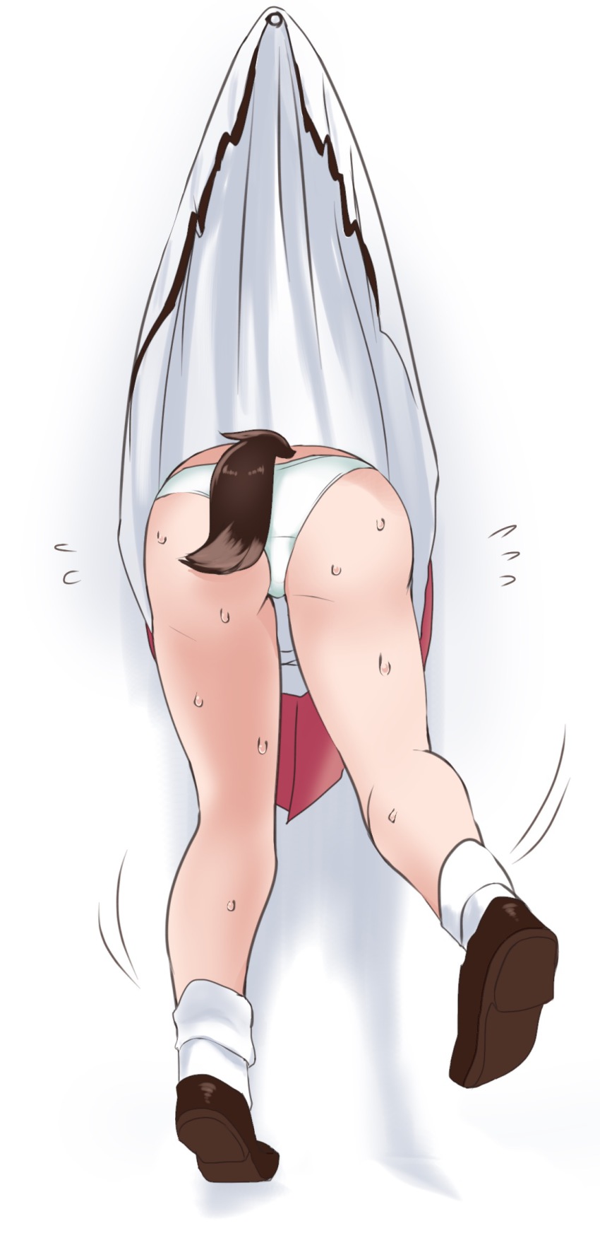 1girl, bad_id, bad_pixiv_id, clothes_lift, dog_tail, doroame_(ameyu), female_focus, highres, kasodani_kyouko, panties, pantyshot, skirt, skirt_lift, solo, stuck, sweat, tail, through_wall, touhou, underwear