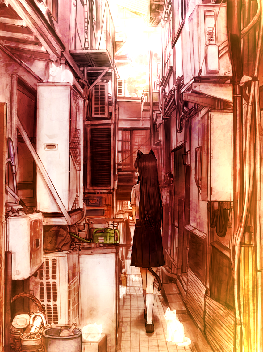 1girl, air_conditioner, animal_ears, basket, black_hair, bucket, building, cat