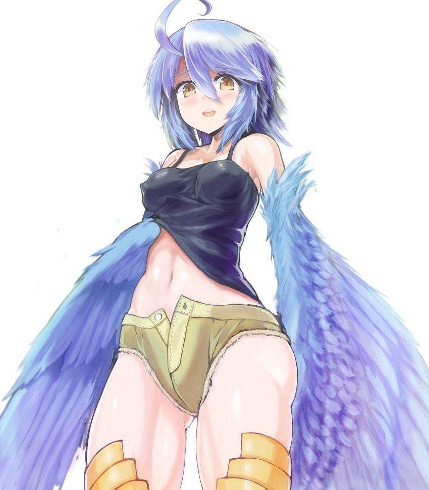10s, 1girl, absurdres, ahoge, blue_hair, blue_wings, breasts, covered_erect_nipples, cowboy_shot, feathered_wings, female_focus, harpy, highres, kawasumi_(tk2k_jade), monster_girl, monster_musume_no_iru_nichijou, navel, papi_(monster_musume), short_shorts, shorts, simple_background, small_breasts, solo, unbuttoned, white_background, winged_arms, wings, yellow_eyes