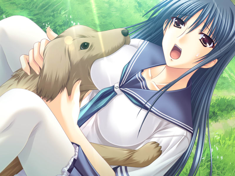 1girl, blue_hair, breast_biting, brown_eyes, chiba_chinatsu, dog, female_focus, game_cg, kuwahara_shion, okitsune_summer, pantyhose, school_uniform, serafuku, solo, white_pantyhose