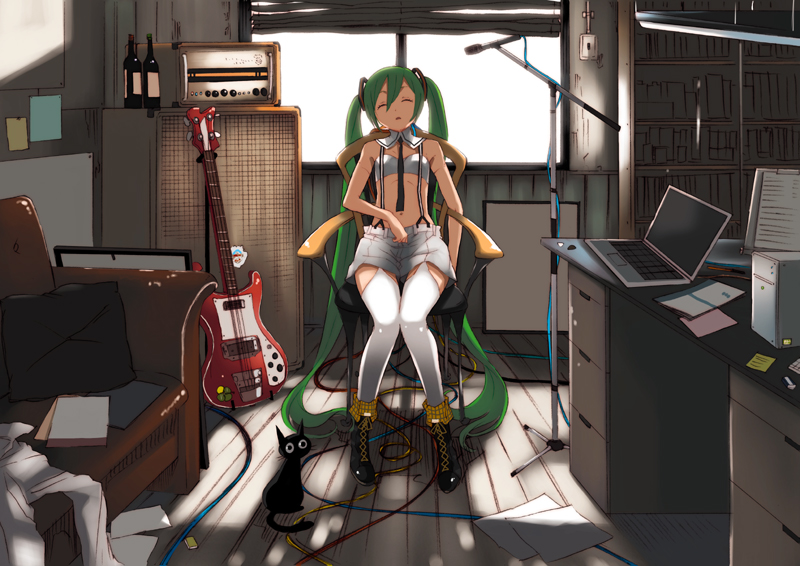 alcohol, amplifier, bass_guitar, cat, computer, cosplay, closed_eyes, green_hair