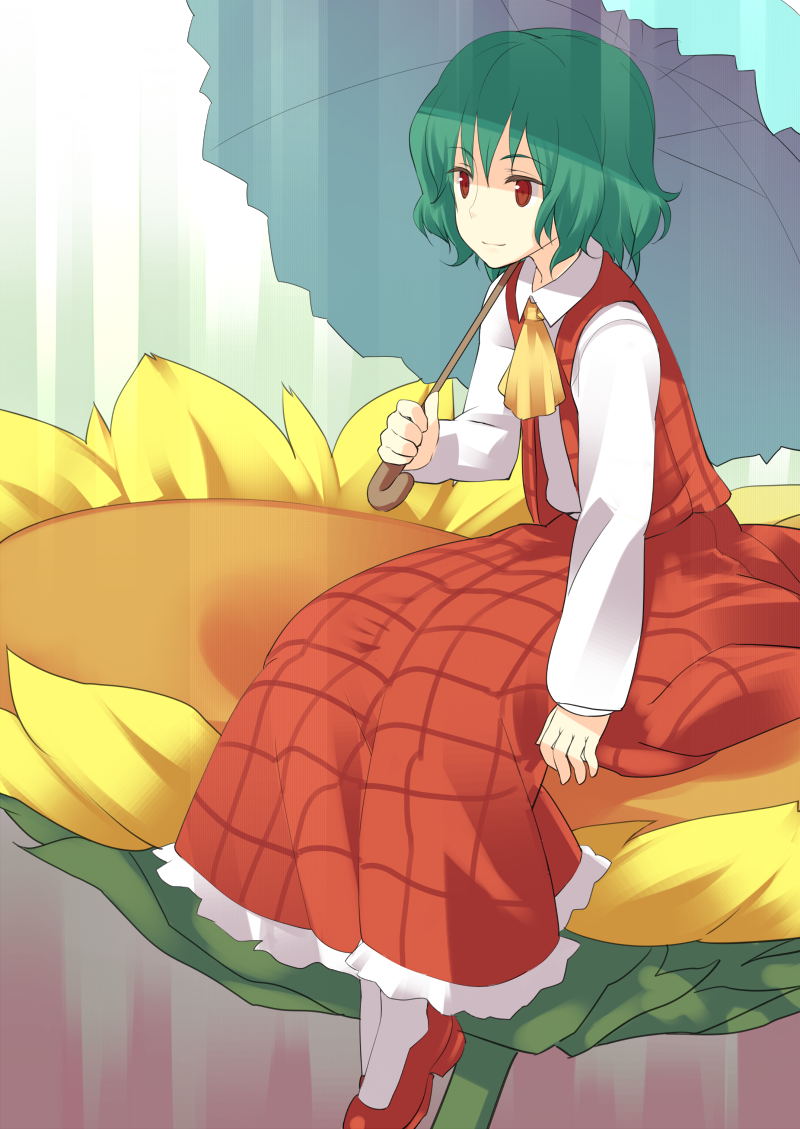 1girl, ascot, doriruman, female_focus, flower, green_hair, kazami_yuuka, light_smile