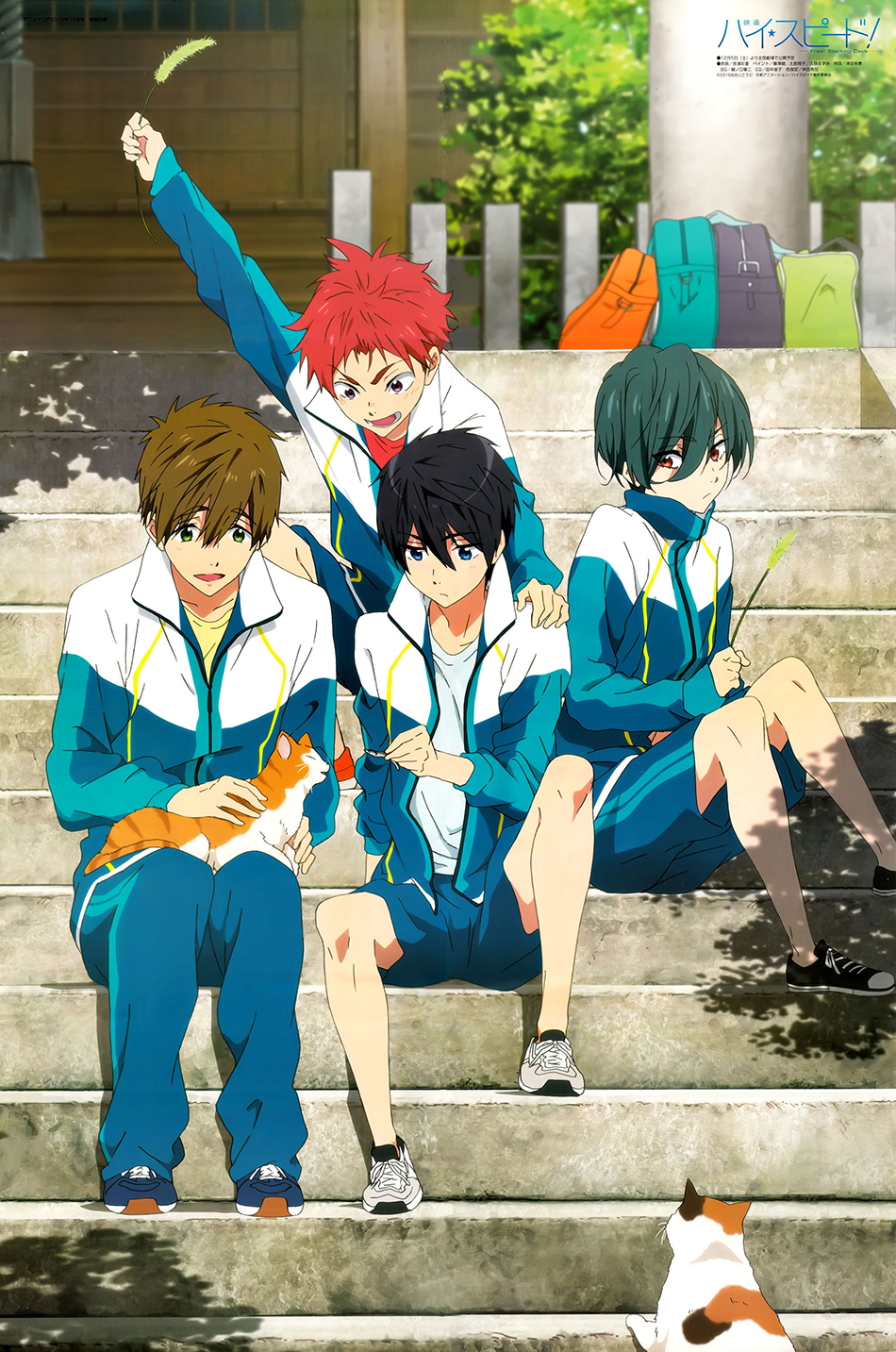 4boys, cat, high_speed!, highres, kirishima_ikuya, male_focus, multiple_boys, nagahama_ayaka